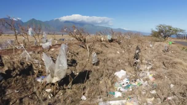 Ošklivý pohled na plastové tašky na Havajském ostrově, USA. Lidský odpad znečišťující příroda 4K — Stock video