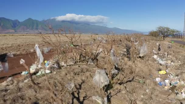Příroda na Havaji znečištěná lidským odpadem, nerozložitelné plastové tašky, 4K eco — Stock video