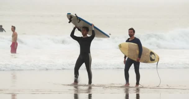 Novembre 2020. I surfisti camminano lungo la costa portando tavole da surf — Video Stock