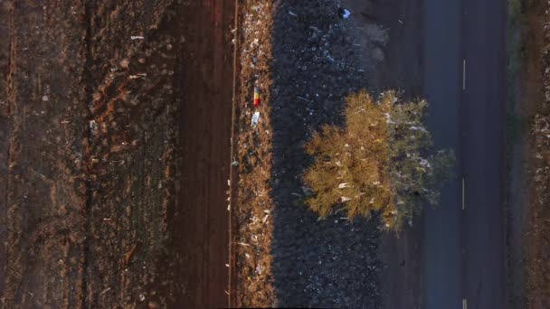 Top down view on green tree at the landfill road at sunset. Wind blowing plastic — 비디오