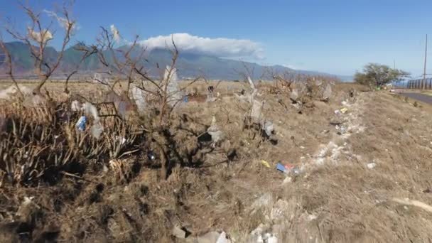 Drone vliegend langs bladloze takken bedekt met plastic afval, Hawaï eiland 4K — Stockvideo