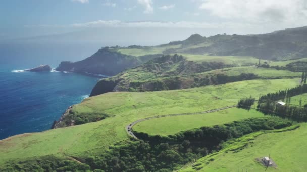 Vista aérea de campos verdes y costa panorámica en la isla de Hawaii al atardecer, Estados Unidos 4K — Vídeo de stock