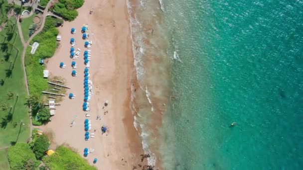Пляжний і морський повітряний фон 4К. Вид зверху на людей, які насолоджуються відпочинком — стокове відео