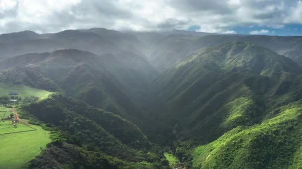 Cinematic aerial panorama of green tropical Hawaii island, Verenigde Staten. Reizen, vakantie — Stockvideo