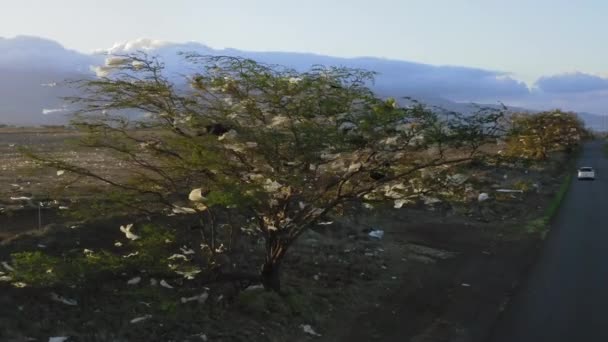Aerial view of garbage and lot of plastic bags stuck on tree waving by wind 4K — Stock Video