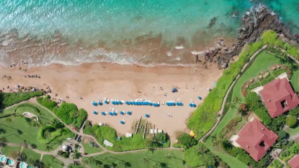 Тропічний пляжний фон природи 4K. Люди насолоджуються літнім відпочинком на острові — стокове відео
