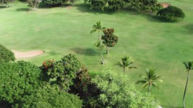 Yeşil golf sahasının sinematik havası. ABD 'de çimenlik alanda hareket eden çim biçici.