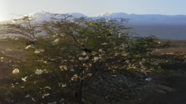 Günbatımında kirli doğa. Yeşil ağaçtaki çöp ve plastik torbaların havadan görünüşü