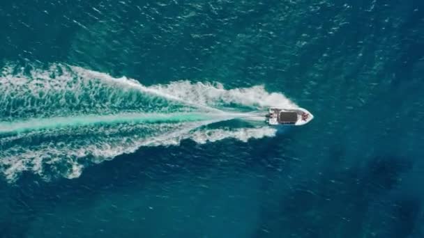 高速小型ホワイトスピードボートセーリングテールトラックの風光明媚な空中ショット｜4K — ストック動画