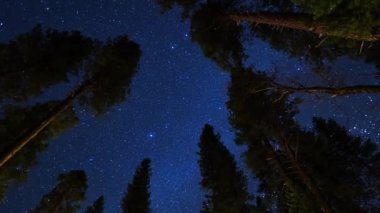 Samanyolu yıldızlarının sinematik görüntüsü zaman aşımına uğramış 4K, ormandan gece gökyüzü görüntüsü
