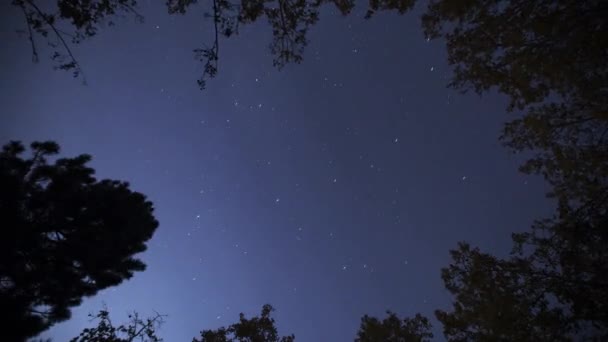 Cielo nocturno lapso de tiempo 4K. Luna brillante y Vía Láctea estrellas en el cielo nocturno. Astronomía — Vídeo de stock