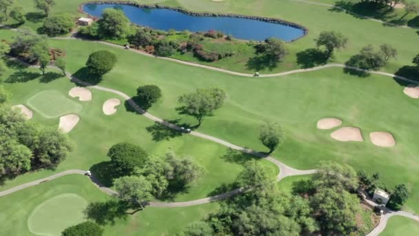 Flygbilder av människor på grön golfbana spelar sport spel Hawaii Maui USA — Stockvideo