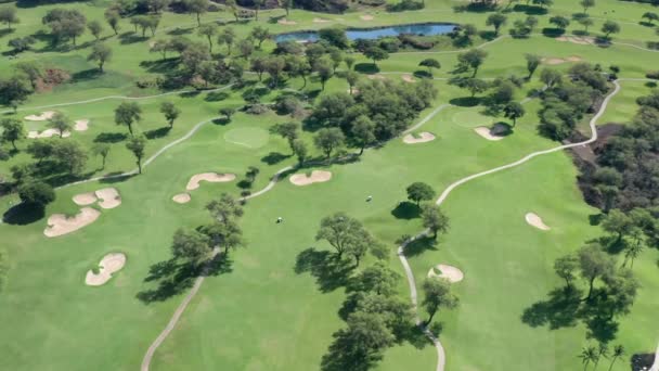 美国夏威夷毛伊岛的空中绿草和高尔夫球场上的树木 — 图库视频影像