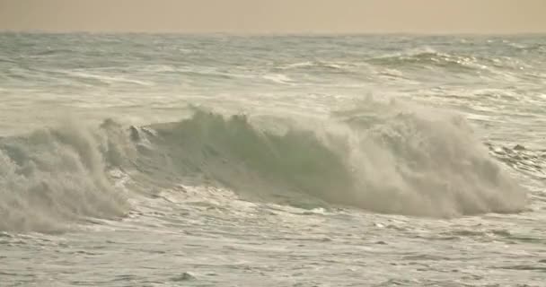 Назар, Португалия. Живописный пейзаж волн, отколовшихся от берега — стоковое видео