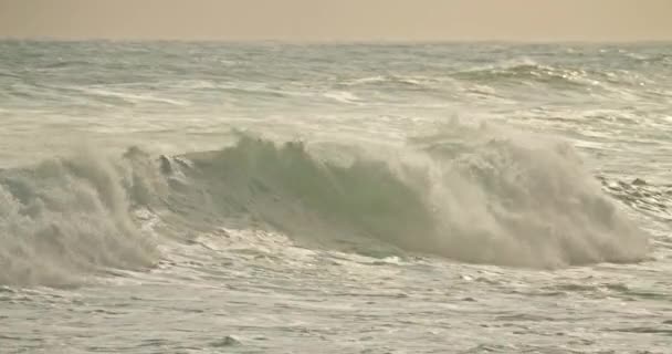 Nazare, Portugalia. Malownicze krajobrazy fal odrywających się od brzegu — Wideo stockowe