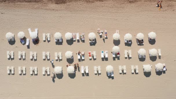 Touristen auf weißen Sonnenliegen mit Sonnenschirmen im Luxushotel. Von oben nach unten Sandstrand — Stockvideo