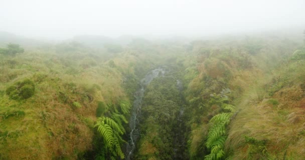 Incredibile panorama di una cascata immersa in una lussureggiante vegetazione verde e gialla — Video Stock