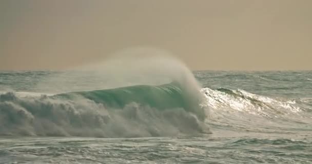 Ναζαρέ, Πορτογαλία. Πορτογαλικό θέρετρο με τεράστια κύματα κατά τη διάρκεια της ανατολής — Αρχείο Βίντεο