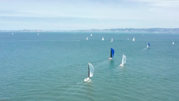 Gara di regate a vela nelle verdi acque della baia di San Francisco, soleggiata giornata estiva — Video Stock