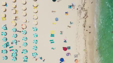 Plajda dinlenen insanların hava manzarası, Tropikal manzara aileleri yeşil deniz