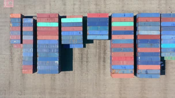 Porto de Miami, vista de cima para baixo em linhas gráficas de contentores de carga azul e vermelho — Vídeo de Stock