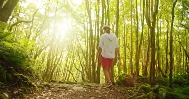 Человек шагает по узкой тропинке среди высоких деревьев — стоковое видео