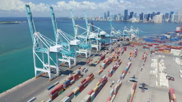 Entreprise d'exportation mondiale, transport par eau Miami centre-ville sur fond de mouvement — Video
