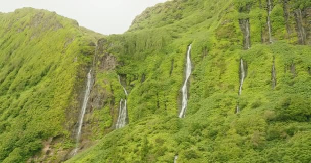 Wonderful cliffs covered with dense greenery — Stock Video