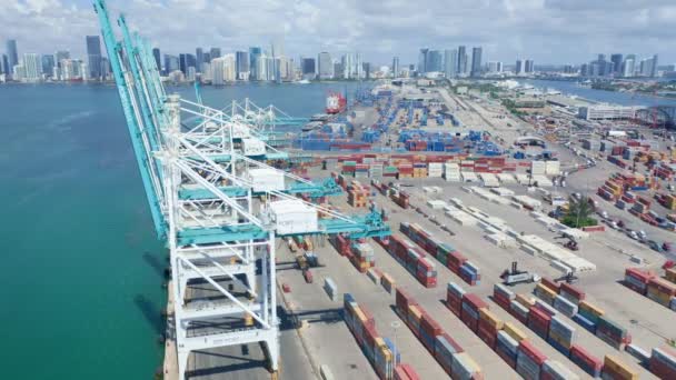Port Miami, juin 2019, Grues industrielles aériennes dans le port de fret en bord de mer, 4K — Video