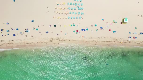 人々はリラックス、日焼け、澄んだ海での水泳、休暇の背景｜4K — ストック動画