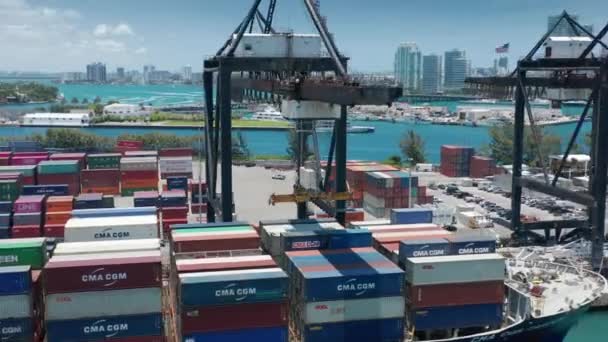 4K hiper lapso guindaste industrial descarregar contentores de navio de carga, porto de Miami — Vídeo de Stock