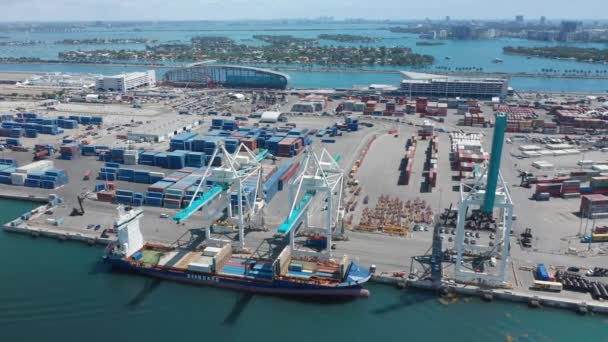Drone flying around the port revealing panorama of cargo harbor, Miami 4K — Stock Video