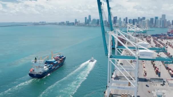 Cargo and water transportation business 4K. Freight vessel in Miami port — Stock Video