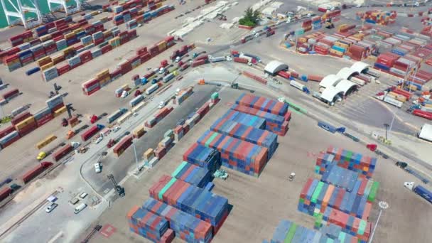 Widok z góry na pasy z niebieskimi i czerwonymi kontenerami cargo. Eksport światowy 4K — Wideo stockowe