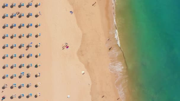 Albufeira, Portugal. Vista aérea de fileiras de guarda-chuva puro em uma praia de areia — Vídeo de Stock