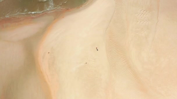 Aerial view of a gleaming, clean, golden beach — Αρχείο Βίντεο