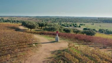 Aerial footage of a man sitting at the observation point at charming vineyard