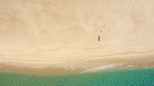 A gorgeous isolated beach surrounded with turquoise ocean waters — Vídeo de stock