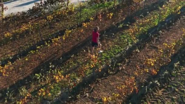 Man strolls along unspoiled agricultural field — Stockvideo
