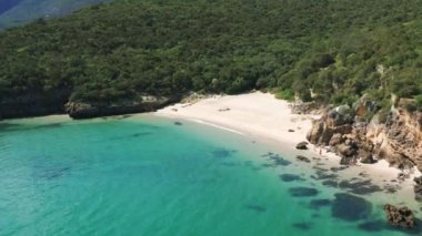 Sahilin ve sık ormanın görkemli manzarası