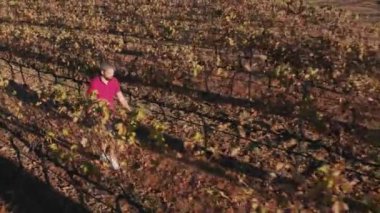 Güney Avrupa 'da manzaralı kırsal alan manzarası