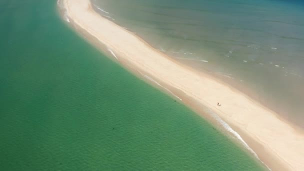Αεροφωτογραφία ενός άνδρα που τρέχει κατά μήκος της παραλίας δίπλα στη ρηχή θάλασσα — Αρχείο Βίντεο