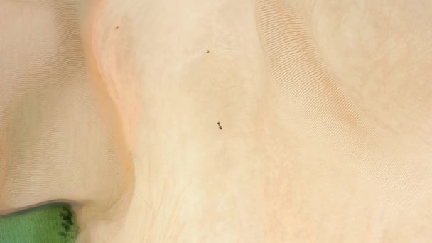 Λευκή άμμος ανάμεσα στα καθαρά νερά όπως φαίνεται από την κορυφή — Αρχείο Βίντεο