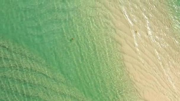 La playa de arena en el Océano Atlántico — Vídeo de stock