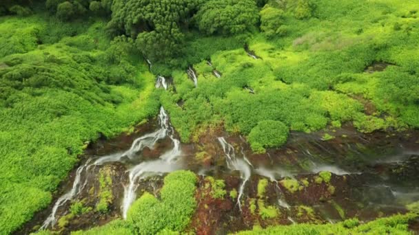 Imagens aéreas da paisagem natural intocada — Vídeo de Stock