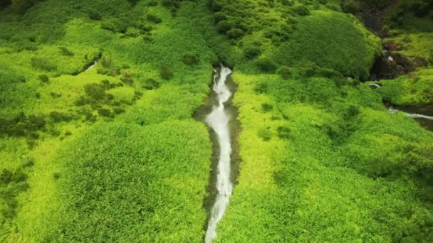 Beautiful aerial vista of the steep rocky cliff — Stock Video