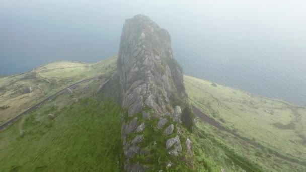 穿越覆盖着地方病植物的美丽火山灰的公路上的无人机景观 — 图库视频影像