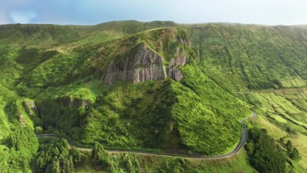 Geïsoleerde, charmante vulkanische eiland bedekt met endemische planten — Stockvideo