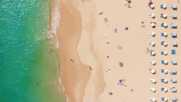 Αεροφωτογραφία των ανθρώπων που κολυμπούν και μαυρίζουν στην παραλία — Αρχείο Βίντεο