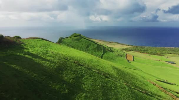 Video drone dell'isola con costa frastagliata di forma oblunga — Video Stock